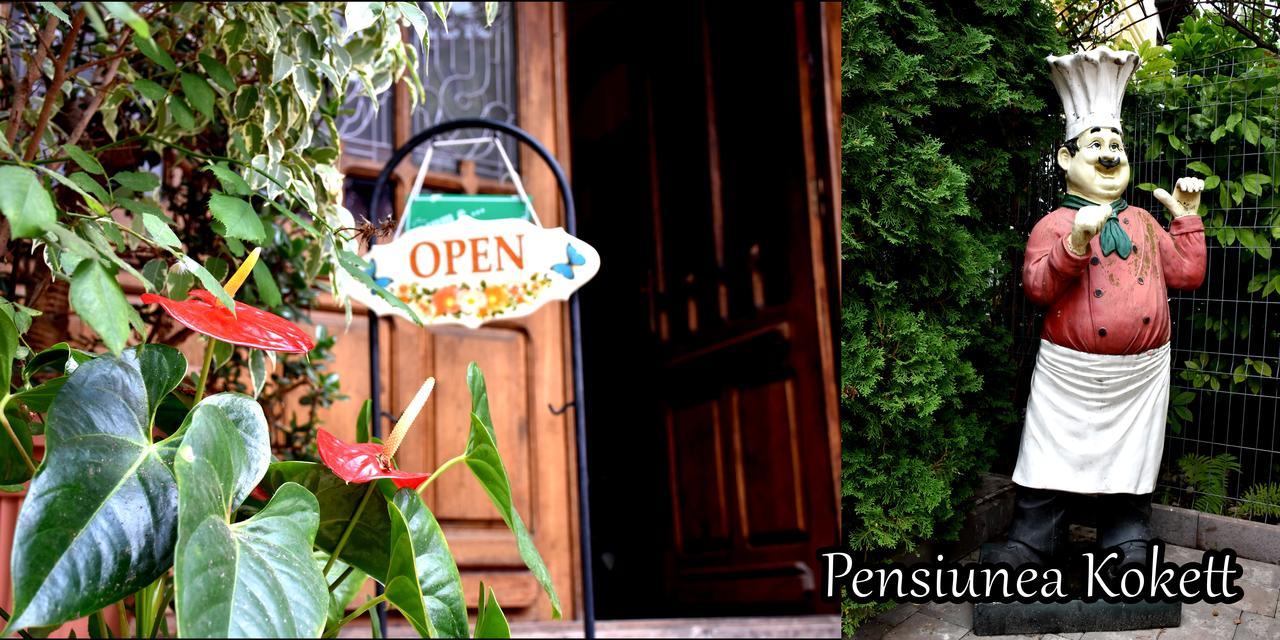 Pension Kokett Campulung Ngoại thất bức ảnh